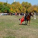 Ростовская область. Шоу в станице Старочеркасская